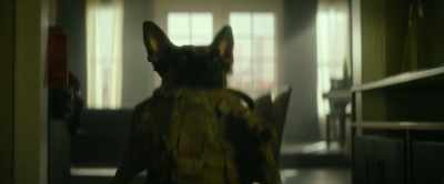 [barking] - Dog