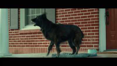[barking] - The Slumber Party