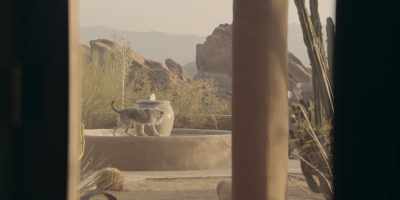 [barking] - High Desert