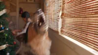 [barking] - Pups Alone