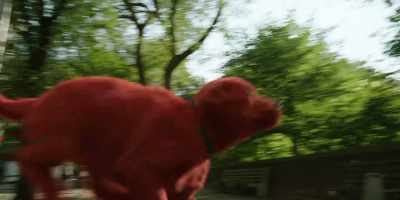 [barking] - Clifford the Big Red Dog