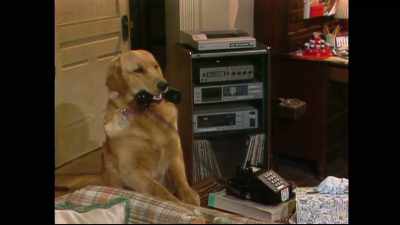 [barking] - Punky Brewster