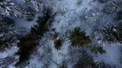 [barking] - Life Below Zero: Next Generation