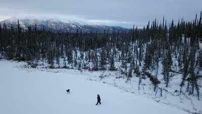 [barking] - Life Below Zero: Next Generation