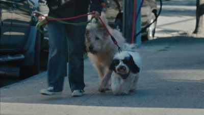 (barking) - High Maintenance