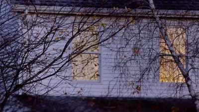 [barking] - The Cult of The Family