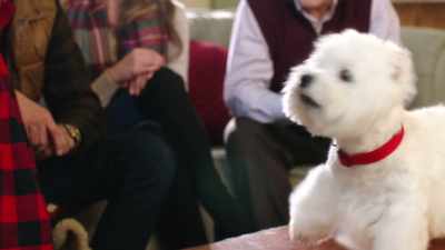 (barking) - Christmas Love Letter