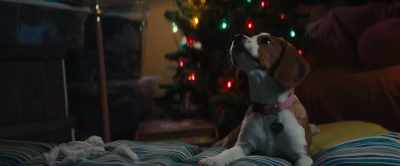 [barking] - A Dog's Journey