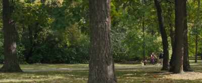 [barking] - A Dog's Journey
