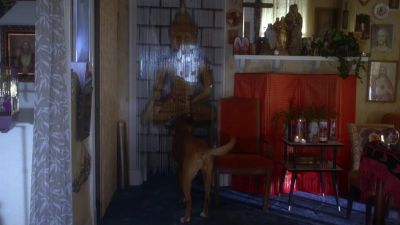 ( barking ) - Six Feet Under
