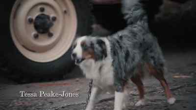 (barking) - Grantchester