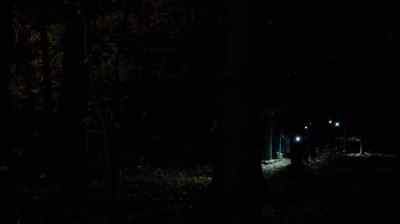 [Barking] - The Following