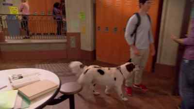(barking) - Dog with a Blog