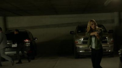 (barking, snarling) - NCIS