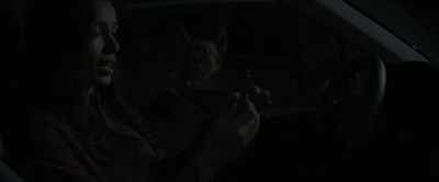 -[barking]
-[strains] - Intrusion
