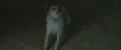 [barks, growls] - Clock