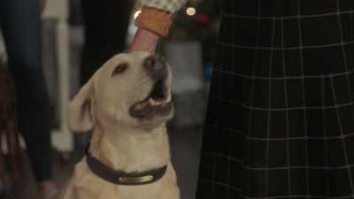 [barks] - Christmas Unleashed