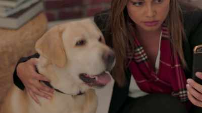 [barks] - Christmas Unleashed