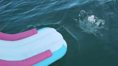 [BARKS] - LEGO Friends: Girls on a Mission