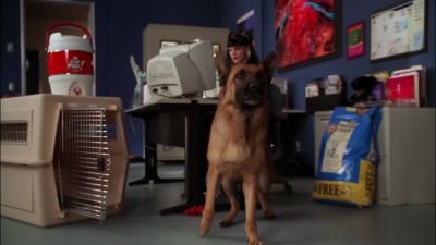 (barks) - NCIS