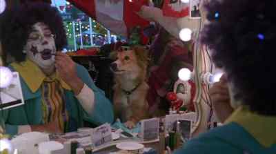 [barks] - Bingo