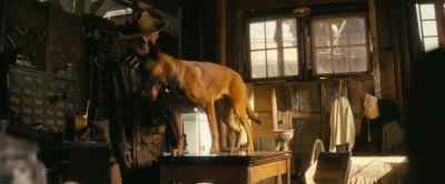 [barks] - Fallout