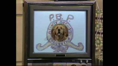 [barks] - Punky Brewster