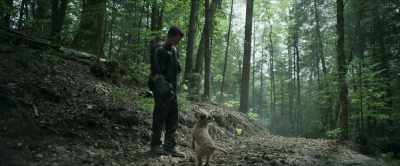 [BARKS] - Chaos Walking