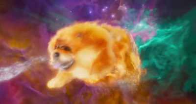 [barks] - Over the Moon