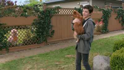 [barks] - The Healing Powers of Dude