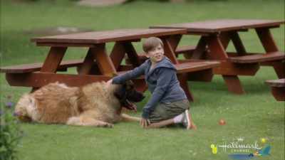 [Barnabas barks] - At Home in Mitford