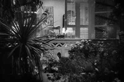 Barry, what is it? - Charlie Chan in Egypt