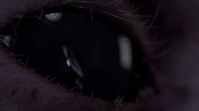 Bartholomew. - American Horror Story