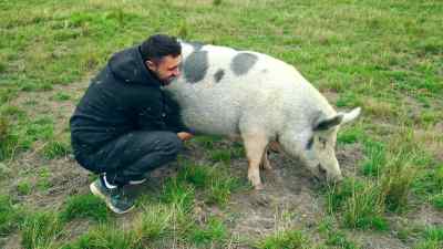 Based on my experience,
it's very clear that the industry - Pignorant