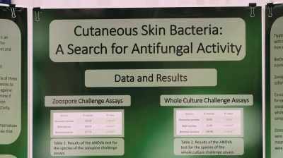 Based on their board, you
see how, how much jargon
you don't understand, - Science Fair