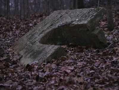 Basically a French werewolf. - American Werewolves