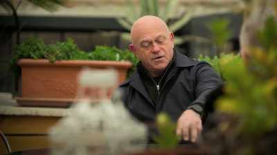 - Basically, that report you wrote
30 years ago - Ross Kemp: Mafia and Britain
