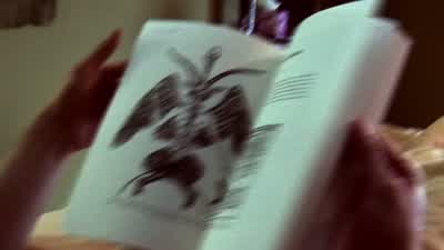 Basically they're these malevolent evil spiritsthat only exist to cause pain and commit evil for their own amusementIt's pretty creepy I mean they stalk people for years like decadesThey're sometimes really intelligent in the way they do things to freak - Paranormal Activity