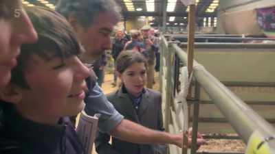 Basically where we're at,
we've only two bulls here, - Our Yorkshire Farm
