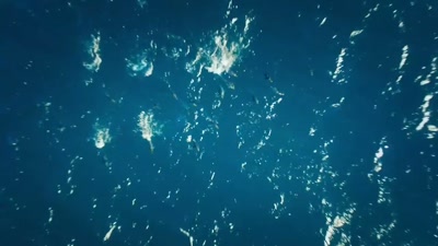'..bathed in its warmth and light,
and teeming with life. - A Year on Planet Earth