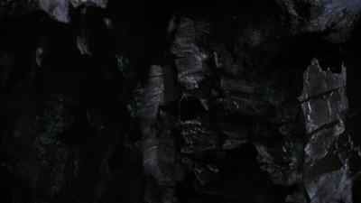 Bats. - Batman