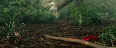 BB-8, I'm so sorry. - Star Wars: The Rise of Skywalker