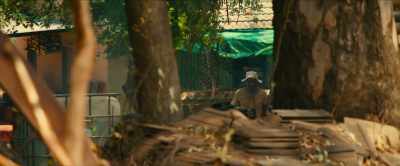 Be aware that the
asset is in the green hut. - Rogue