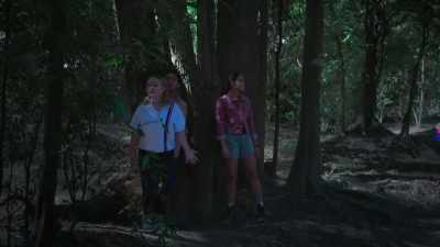 Be careful. Don't look up.
No running. - Rock Island Mysteries