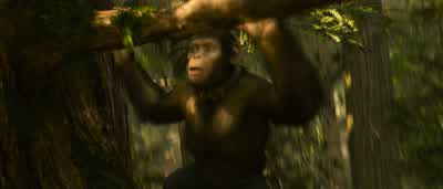 Be careful! - Rise of the Planet of the Apes