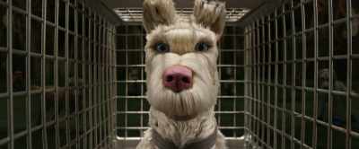 Be notified: I'll be compelled
to defend myself - Isle of Dogs