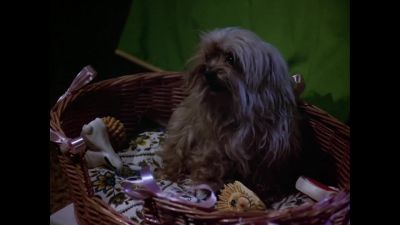 Be quiet and go to sleep... - The Love Boat
