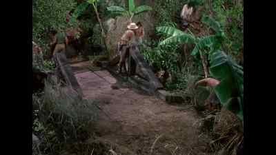 Be sure and cut down
every branch hanging over the moat. - The Naked Jungle