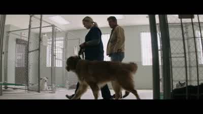 Be sure he gets a good home. - A Dog's Purpose