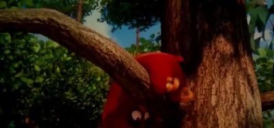 Beak Wing Tail - The Angry Birds Movie